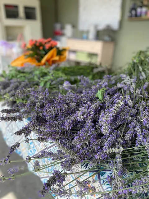 La Lavanda di Poppi