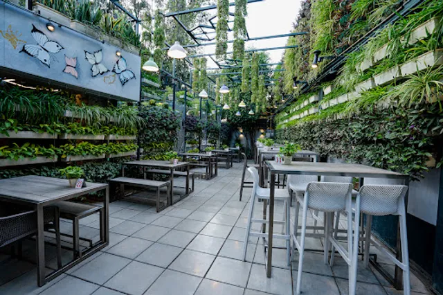 Shreemaya Celebration