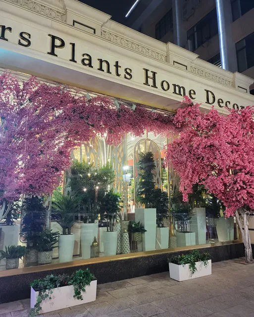 Ogni Tashkenta - café & restaurant