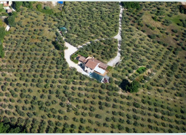 Cantina Colle Ciocco