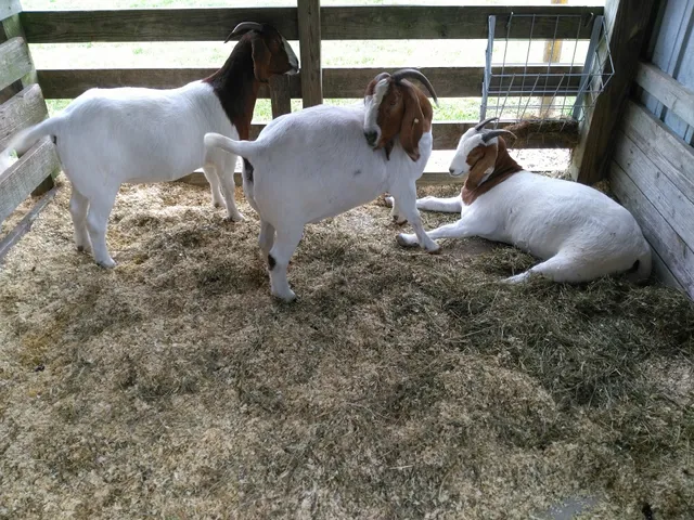 Poweshiek County Fairgrounds