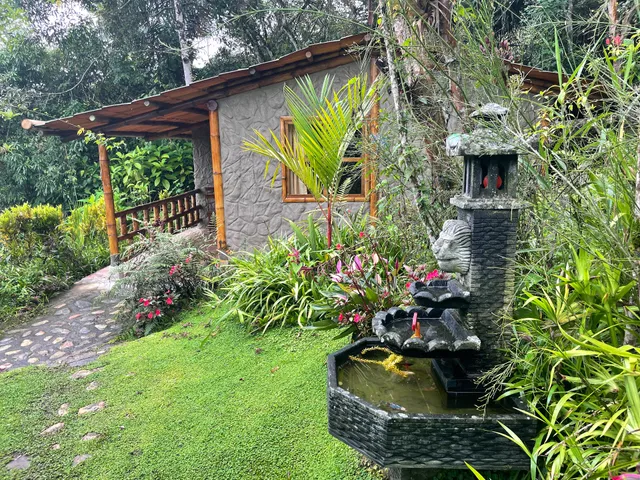 Finca Guayabo Verde