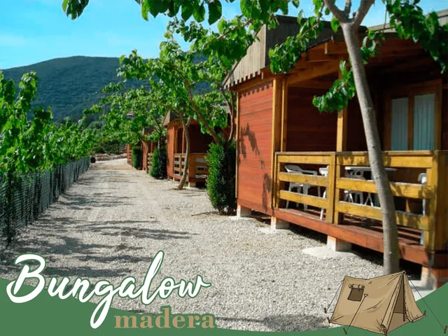 Camping la Falaguera