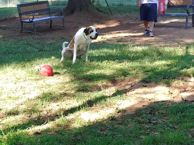Havre De Grace Community Center