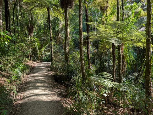 Kauri Glen Reserve
