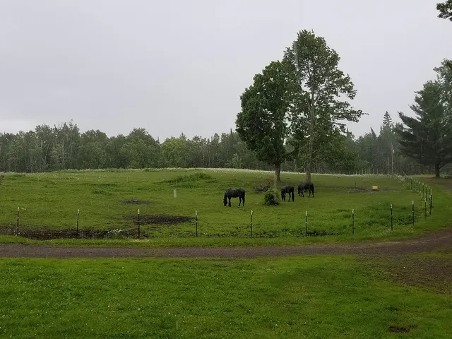 Paradise Hills Campground, MN