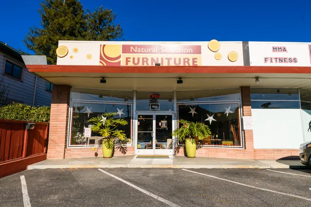 Natural Selection Furniture