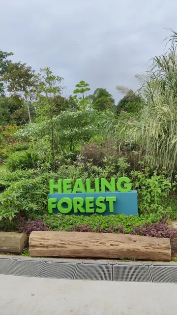 Woodlands Healing Garden