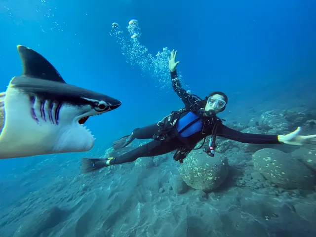 Jack's Diving Locker