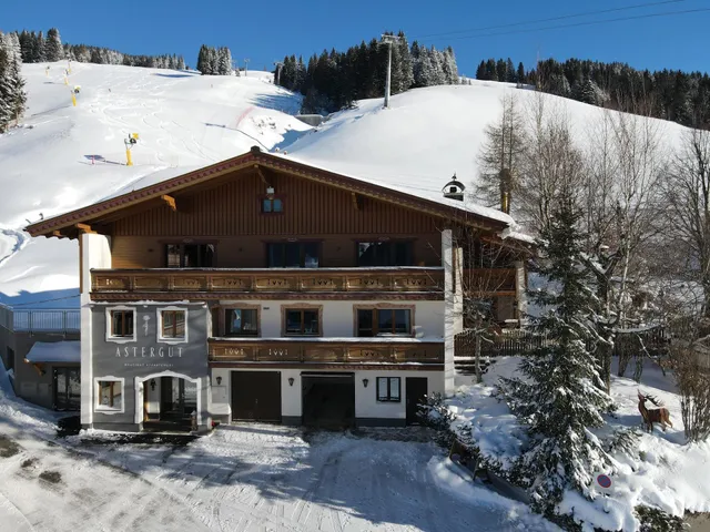 Astergut Boutique Apartment