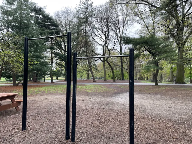 Pull-Up Bars