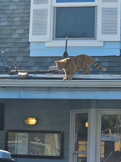 Coastaltreasuresbodegabay