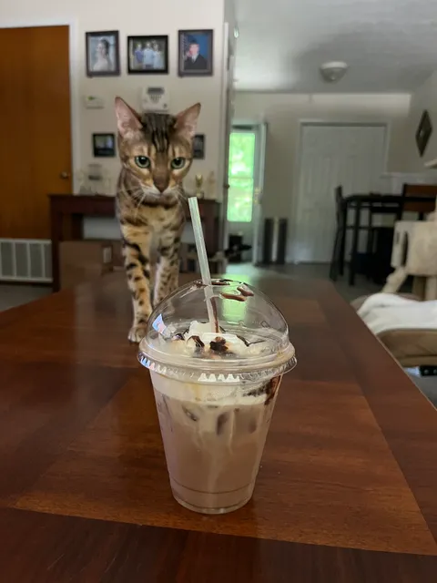 Mudslingers Drive-Thru Coffee