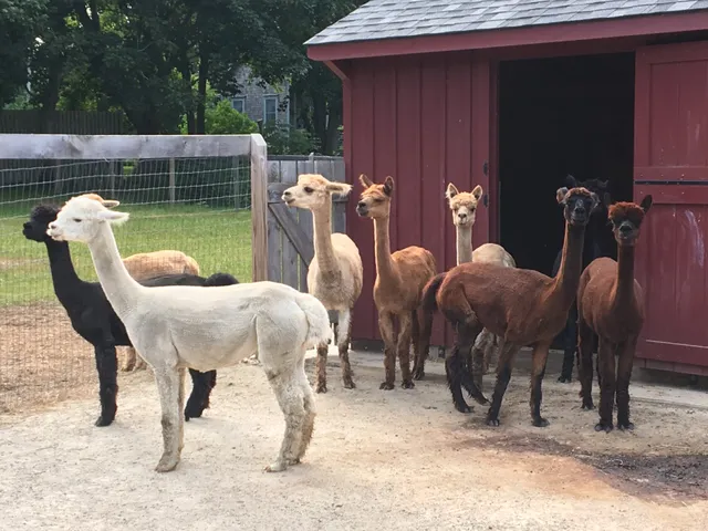 Hope Alpaca Farm LLC