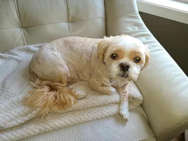 Prairie Winds Veterinary Center