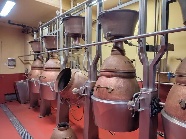 BODEGA PICOS DE CABARIEZO