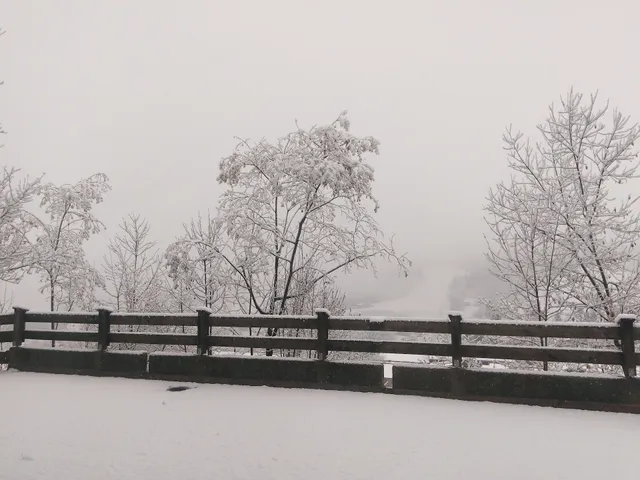 Ferienwohnungen und Appartements Misslinger Anni