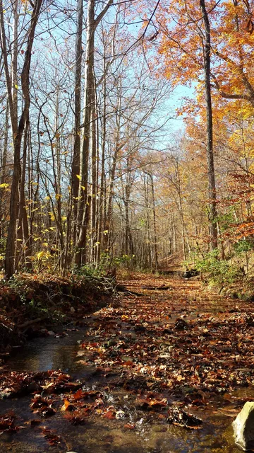 Columbus & Franklin County Metro Parks Headquarters