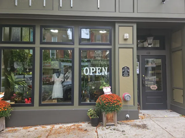 Houseplanted Company