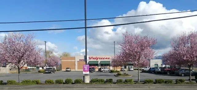 Walgreens