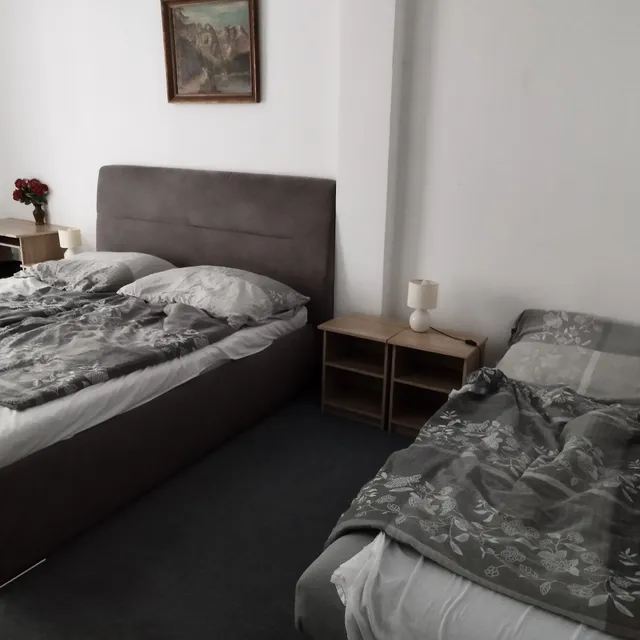 Ubytovanie v súkromí Privat Rooms Vilo