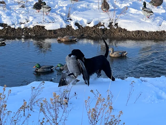 North Platte Outpost