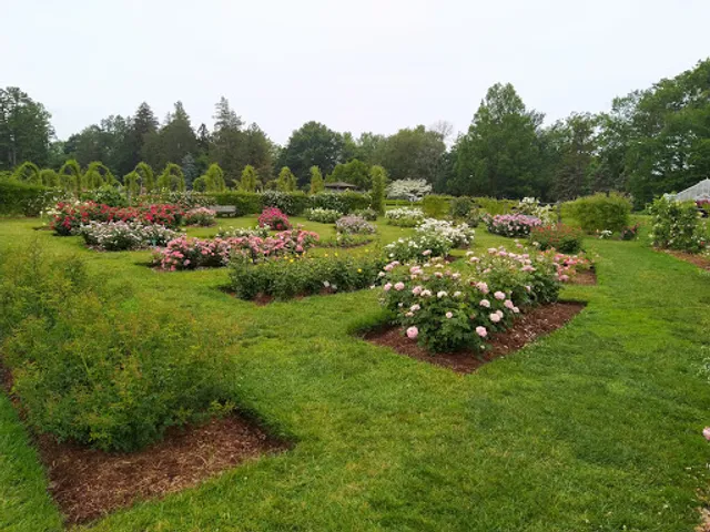 Friends of Elizabeth Park