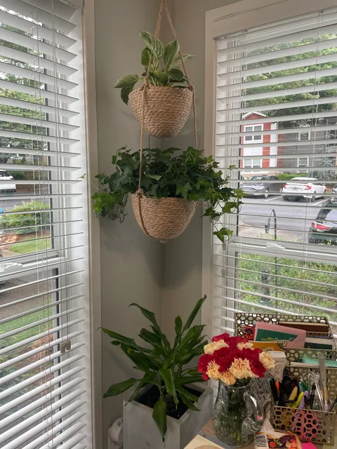 Gifting Tree and The Secret Garden