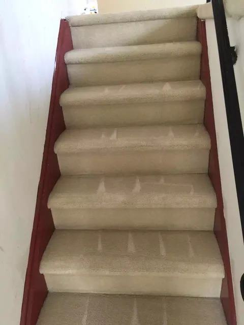 家家洁洗地毯 纽约洗地毯 JJJ Services INC.