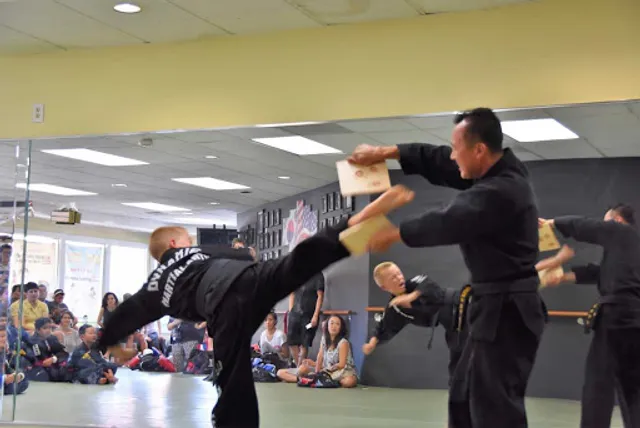Dynamic Martial Arts Taekwondo & Hapkido