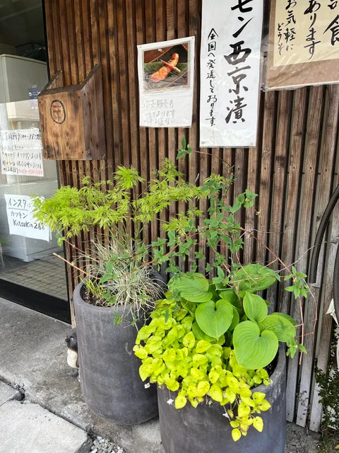 塚本鮮魚店 FISH SHOP 魚屋《カツキン》サーモン西京焼き SASHIMI
