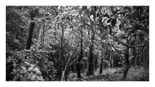 Waikele Swimming Pool