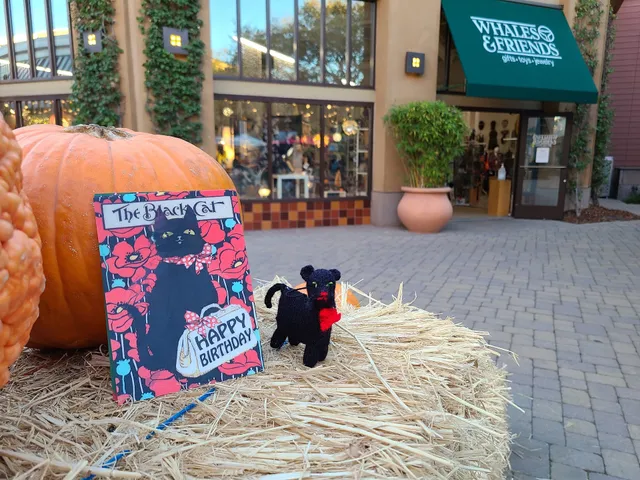 Whales & Friends South Shore