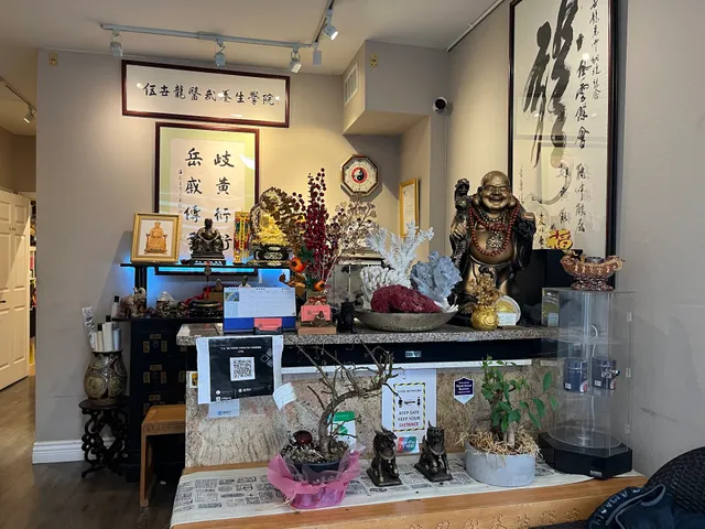 YS Traditional Chinese Medicine and Martial Arts College