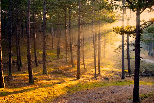 Huisje Op Terschelling