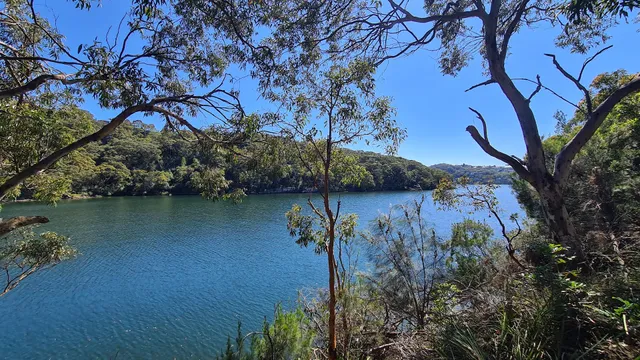 Harold Reid Foreshore Track