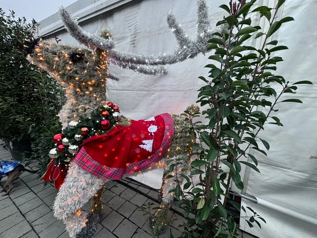 photo-1