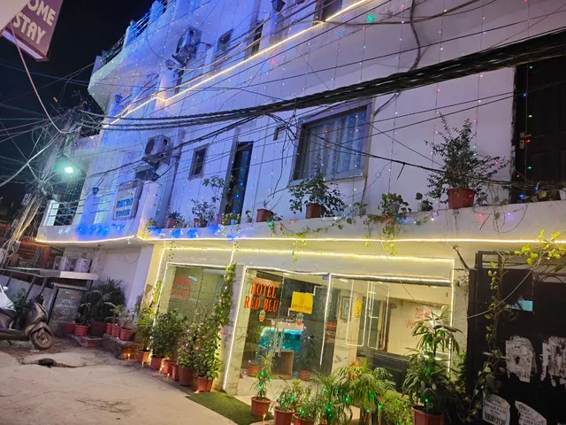 Hotel Red Blu ( Delhi Airport Hotel)