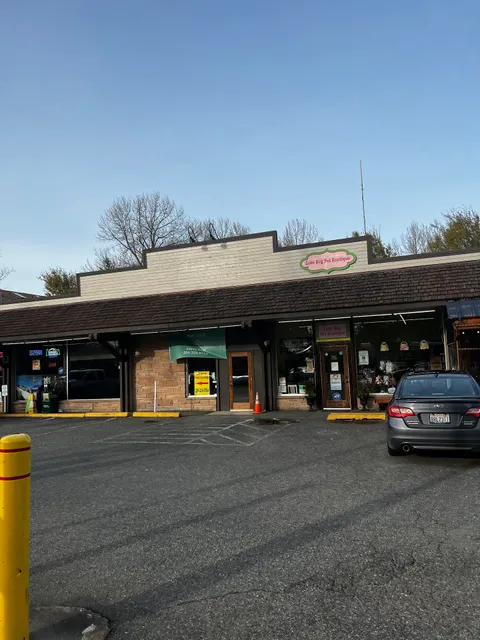 Love Bug Pet Boutique