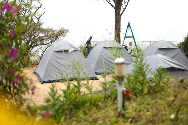 Campper Camp Woody Munnar