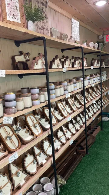 Tracy's Rustic Relics