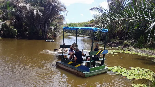 Vikindu Forest Reserve