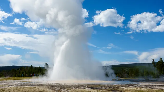 Daisy Geyser