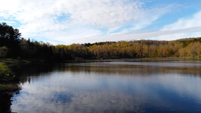 Basswood Pond State Forest