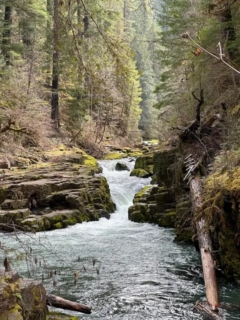 Cedar Creek Campground