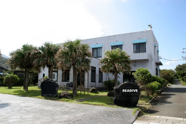 シーダイブ ドミトリー