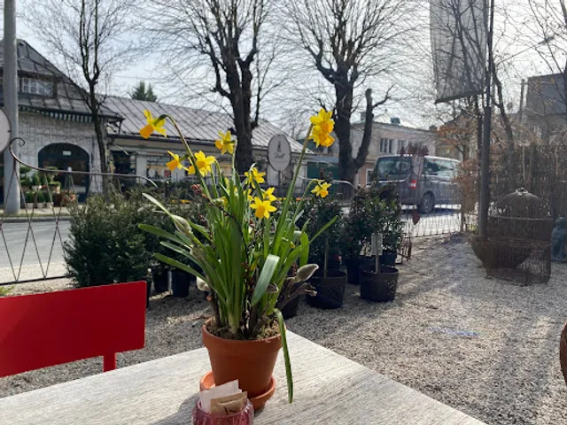 Vis-à-Vis Doll Café