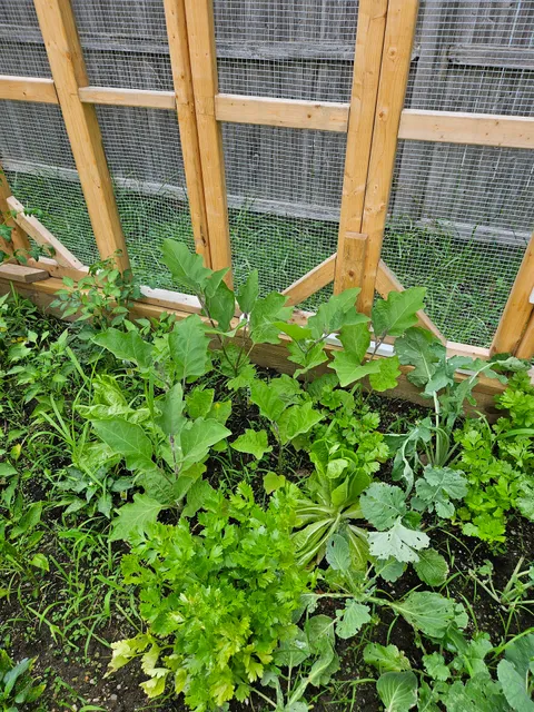 Old Colony YMCA David Jon Louison Center