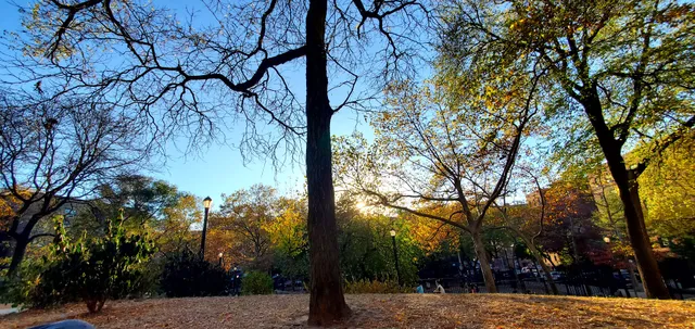 Arthur J. Katzman Playground