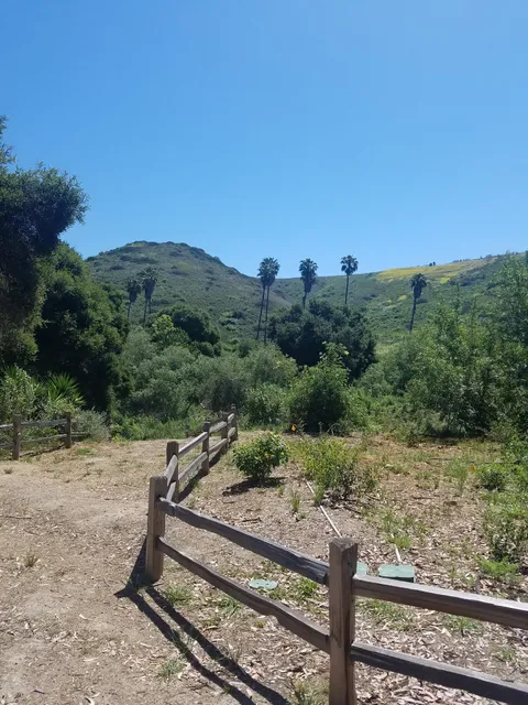 Arroyo Burro Open Space